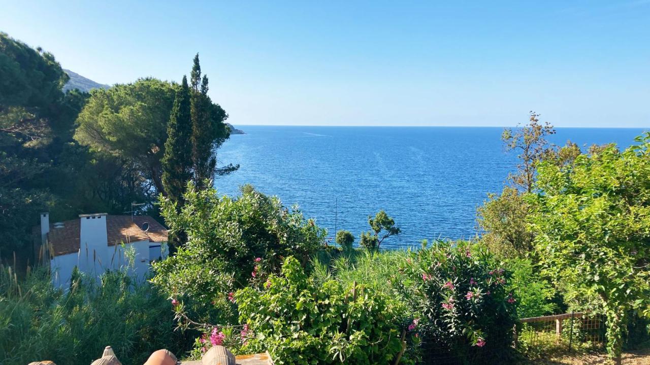 マルチャーナ・マリーナCasa Sprizzeアパートメント エクステリア 写真